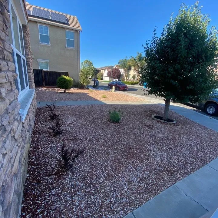 Affordable lawn care service for homes in Napa, CA by Salgado’s Landscaping