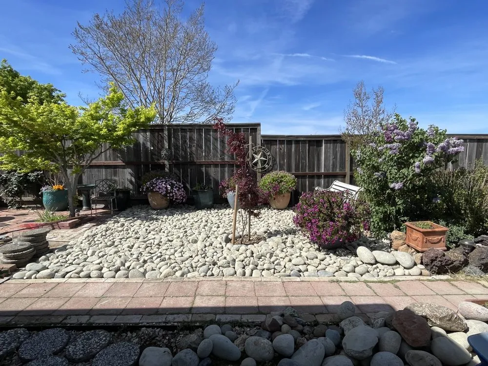 Affordable yard cleanup service experts serving Napa, CA - Salgado’s Landscaping