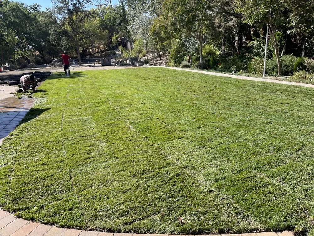 Reliable lawn mowing service in Napa, CA by Salgado’s Landscaping