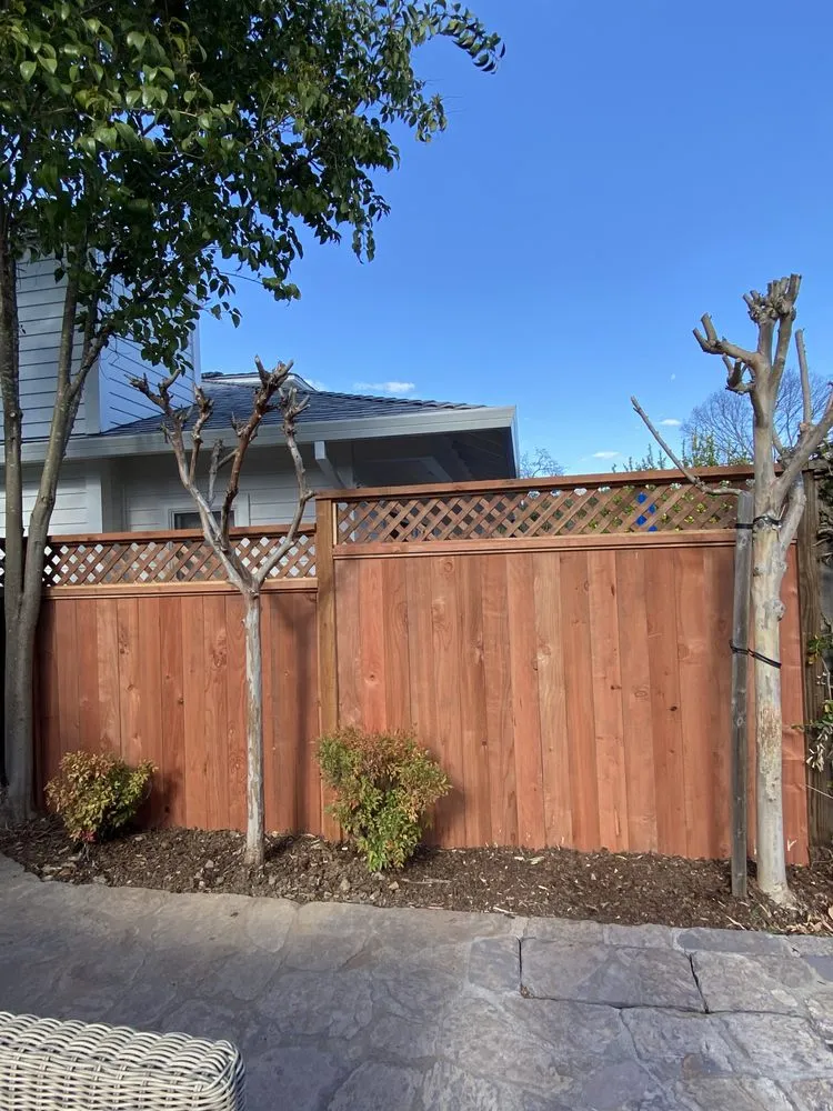 Professional yard cleanup service near you across Napa, CA - Salgado’s Landscaping