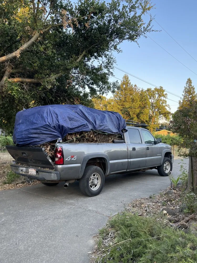 Custom outdoor landscaping in Napa, CA by Salgado’s Landscaping