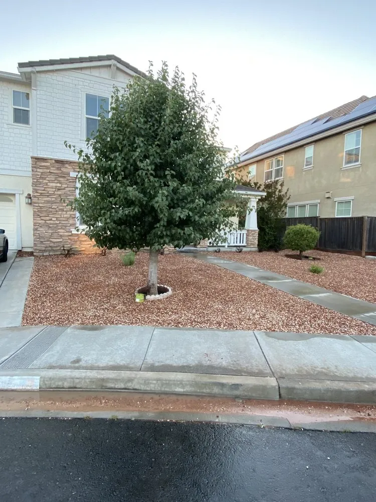 Local lawn mowing service with custom design in Napa, CA by Salgado’s Landscaping