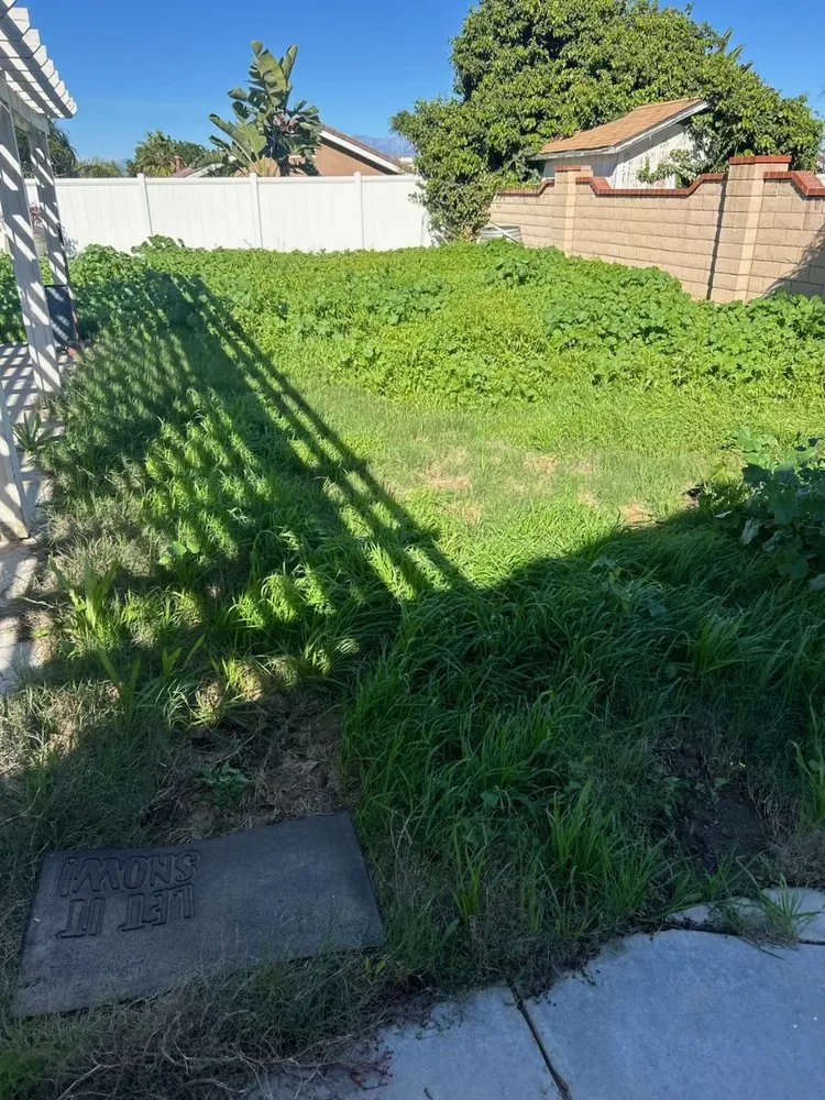 Professional residential landscaping in Riverside, CA by Salgado’s Superior Landscapes