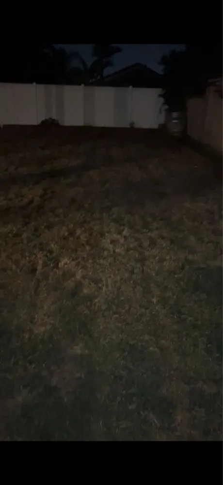 Reliable yard cleanup service in Riverside, CA by Salgado’s Superior Landscapes