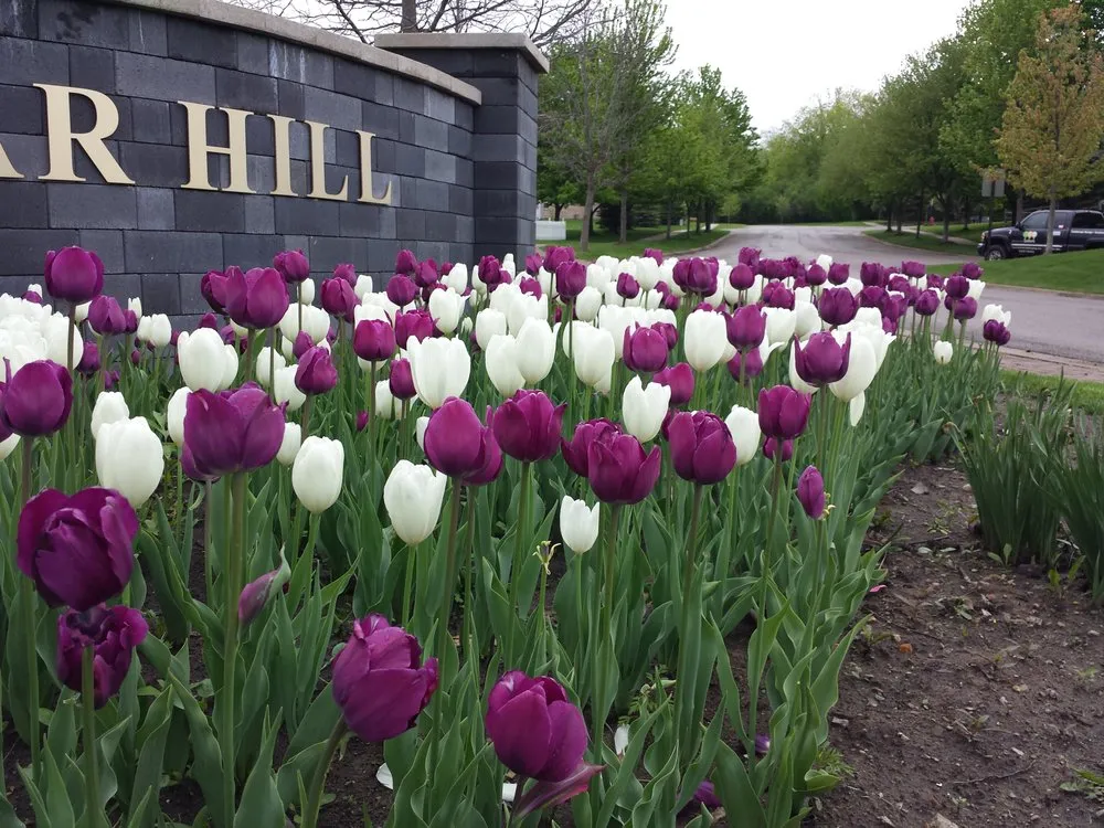 Affordable landscaping services near you in Milan, MI by Salient Landscaping