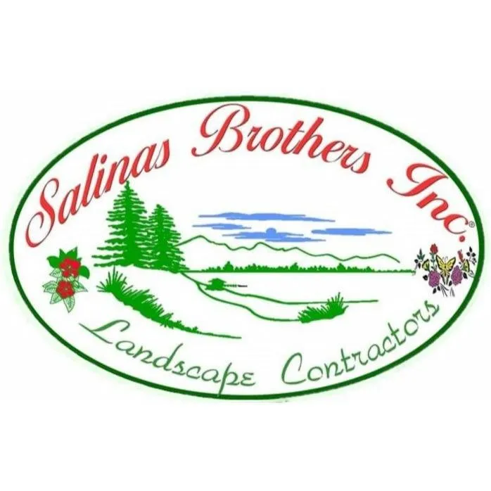 Professional lawn care service experts serving Hampshire, IL - Salinas Brothers