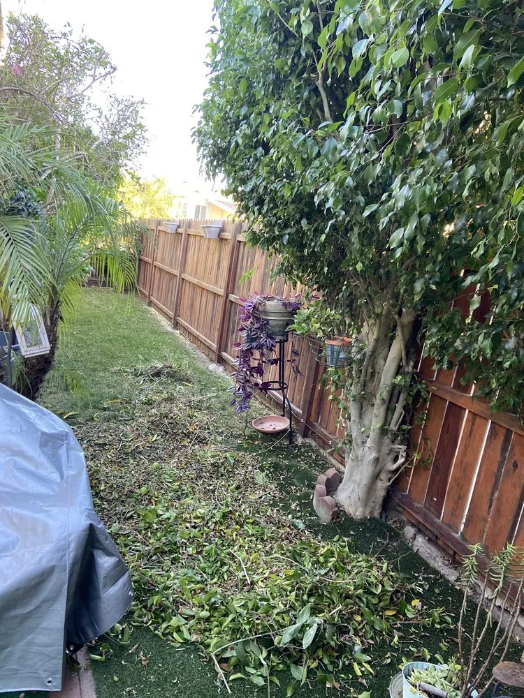 Reliable landscape design experts serving Carpinteria, CA - Salinas Construction Landscape