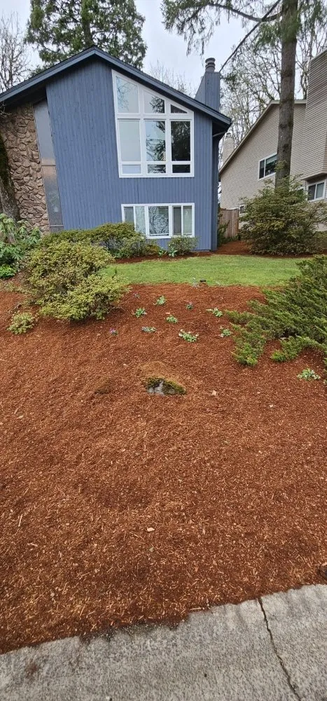 Custom yard cleanup service for homes in Tigard, OR by Salinas Landscape