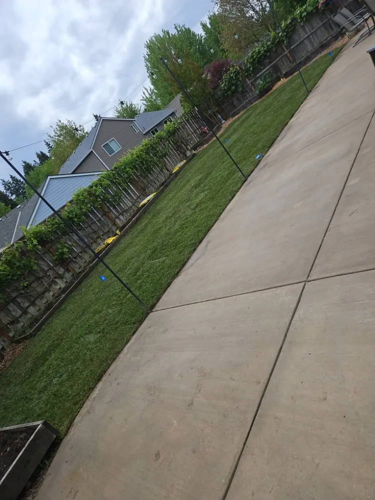 Trusted yard cleanup service in Tigard, OR by Salinas Landscape
