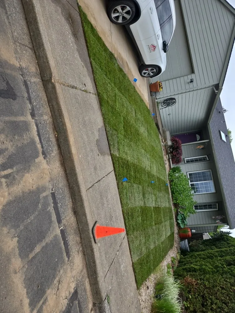 Professional lawn care service for homes across Tigard, OR - Salinas Landscape