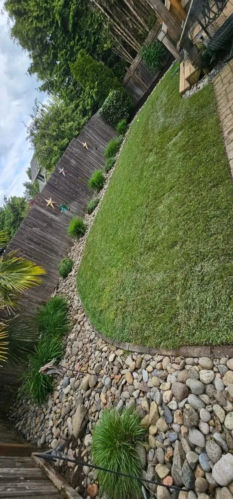 Professional lawn care service experts serving Tigard, OR - Salinas Landscape