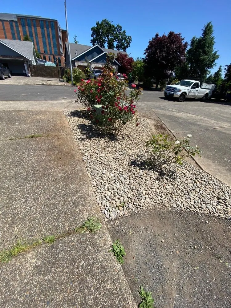 Professional residential landscaping in Tigard, OR - Salinas Landscape