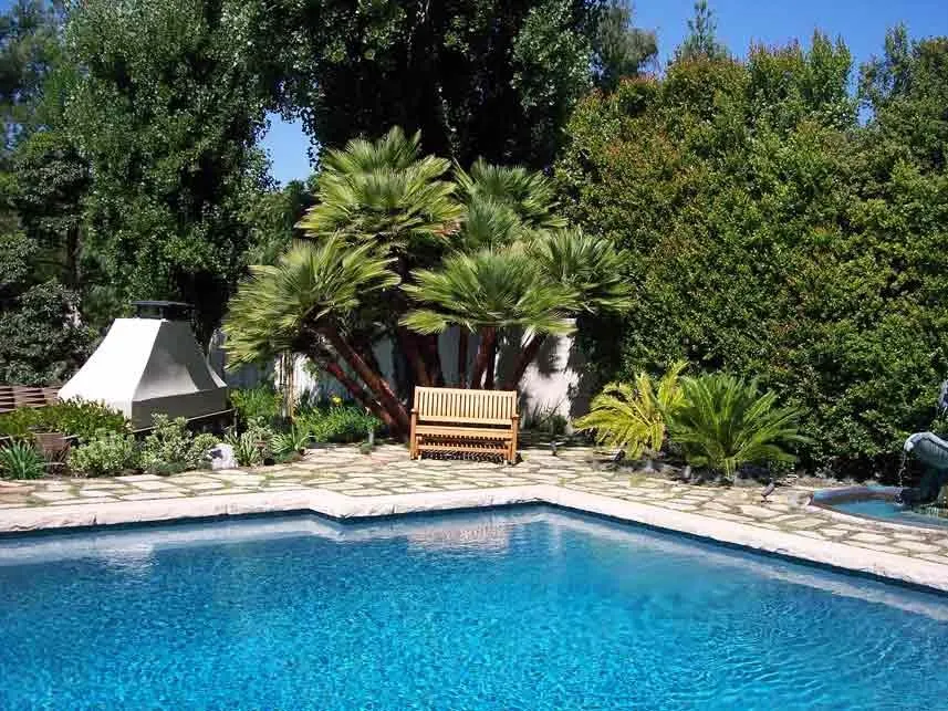 Professional outdoor landscaping for year-round maintenance across Los Angeles, CA - Salinas Landscaping & Tree Preservation