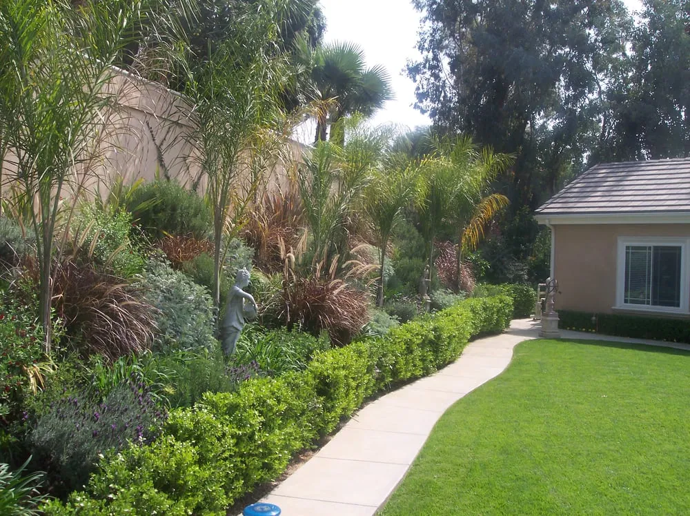 Custom yard maintenance in Los Angeles, CA - Salinas Landscaping & Tree Preservation
