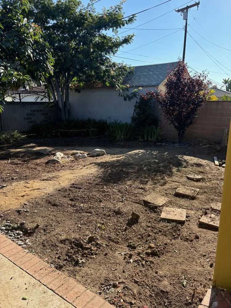 Top-rated landscaping services experts serving Anaheim, CA - Salinas Landscaping