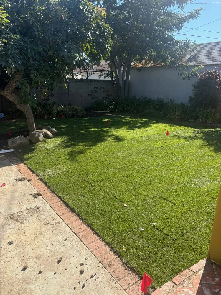 Top-rated outdoor landscaping in Anaheim, CA - Salinas Landscaping