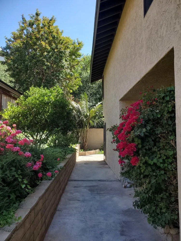 Expert landscaping services in Anaheim, CA - Salinas Landscaping