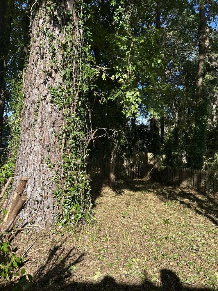 Reliable landscape installation for homes across North Charleston, SC - Salinas Landscaping