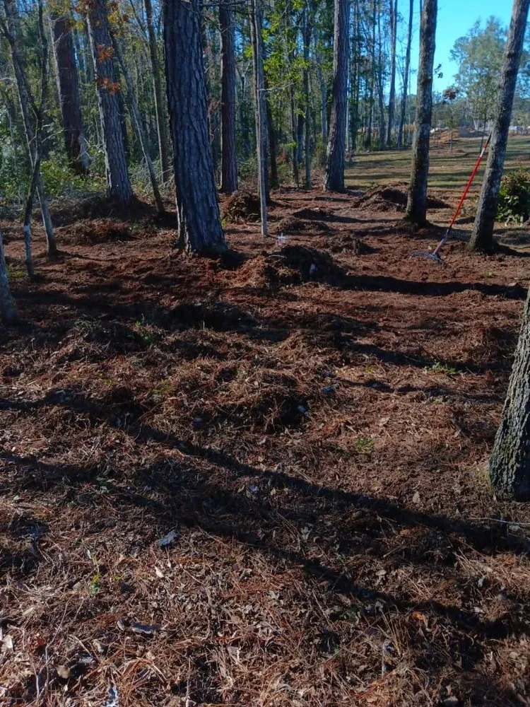 Reliable landscape installation experts serving North Charleston, SC - Salinas Landscaping