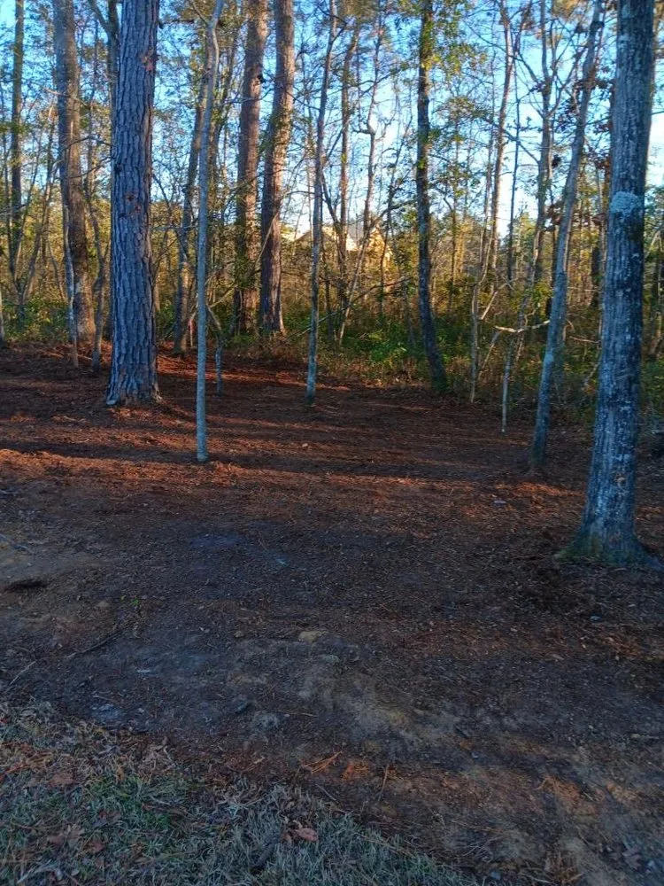 Expert landscape design experts serving North Charleston, SC - Salinas Landscaping