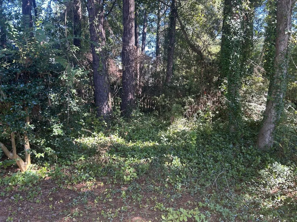 Professional yard maintenance for residential properties in North Charleston, SC by Salinas Landscaping