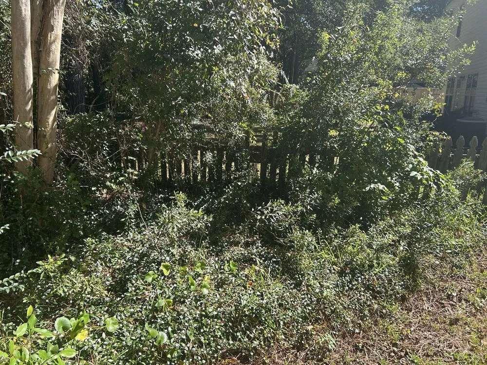 Custom residential landscaping in North Charleston, SC by Salinas Landscaping