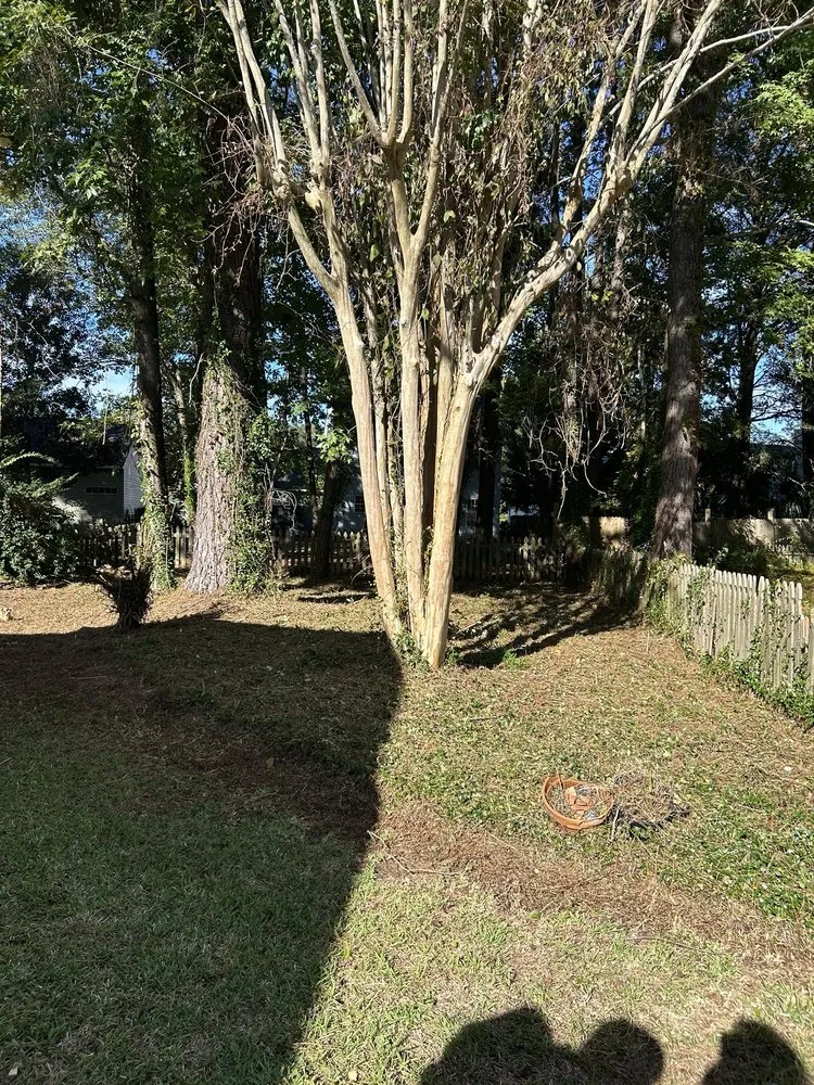 Expert garden landscaping in North Charleston, SC by Salinas Landscaping