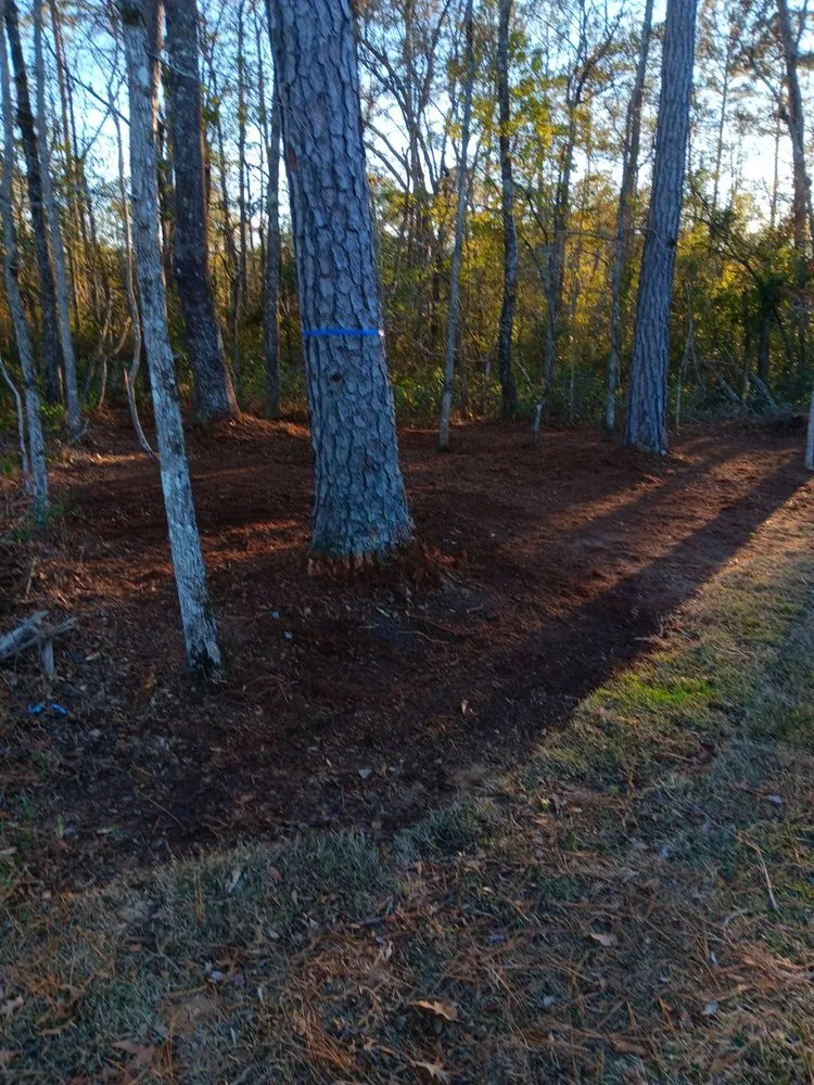 Professional outdoor landscaping in North Charleston, SC by Salinas Landscaping