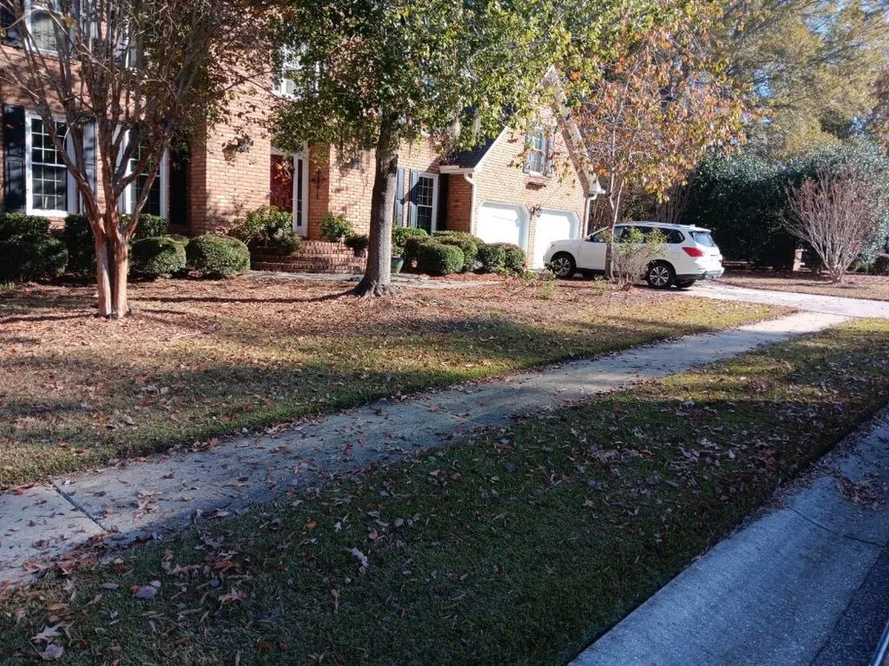 Custom yard maintenance for homes across North Charleston, SC - Salinas Landscaping