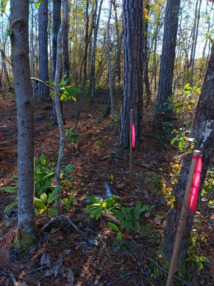 Expert lawn care service experts serving North Charleston, SC - Salinas Landscaping