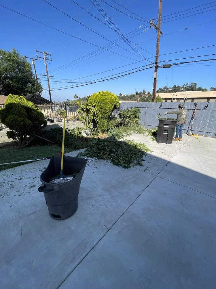 Top-rated garden landscaping in Pasadena, CA by Salina’s Landscaping