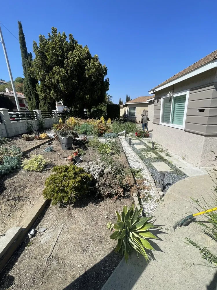 Reliable landscape design experts serving Pasadena, CA - Salina’s Landscaping