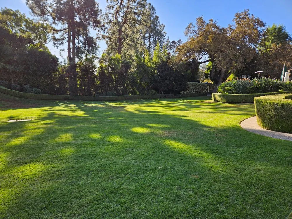 Top-rated lawn care service in Pasadena, CA by Salina’s Landscaping