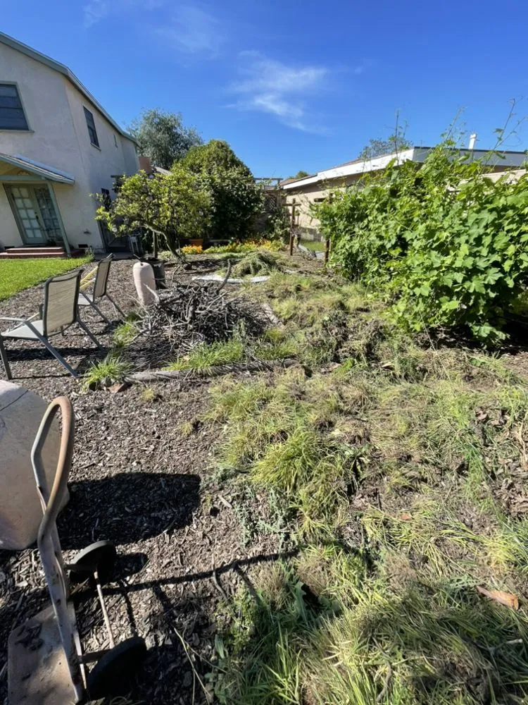 Professional lawn care service in Pasadena, CA - Salina’s Landscaping