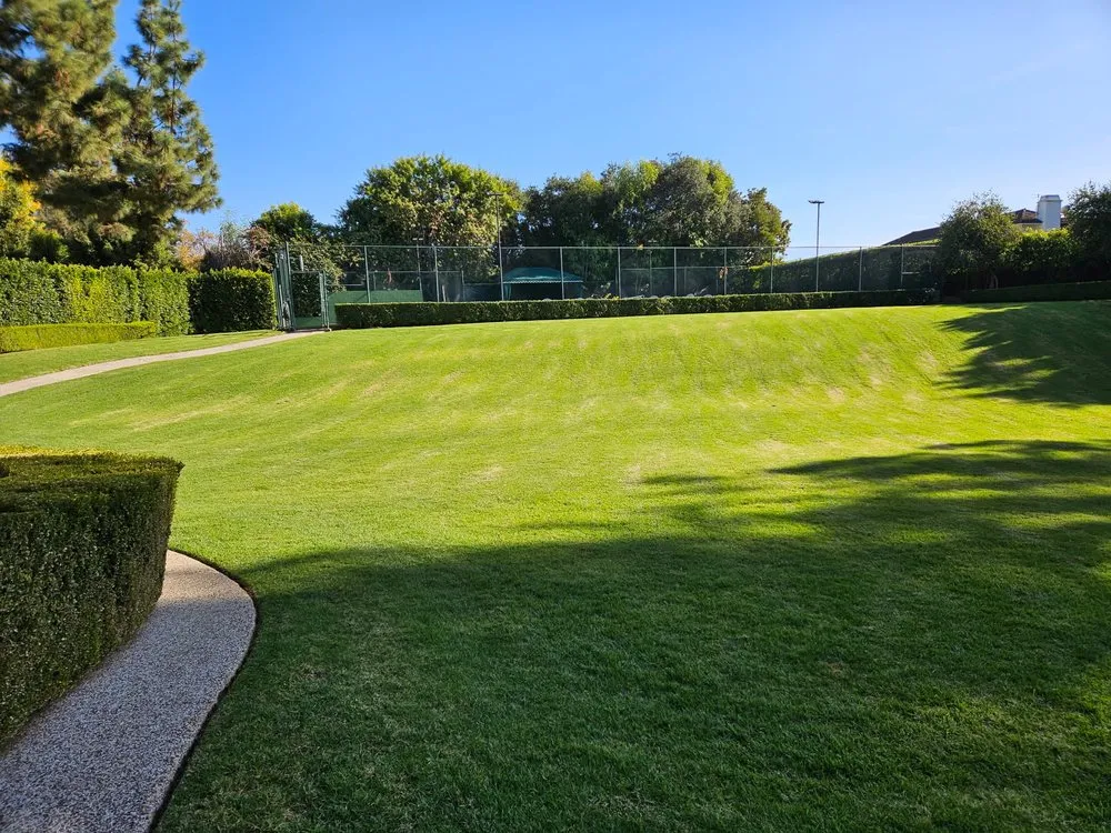 Custom landscape design in Pasadena, CA - Salina’s Landscaping