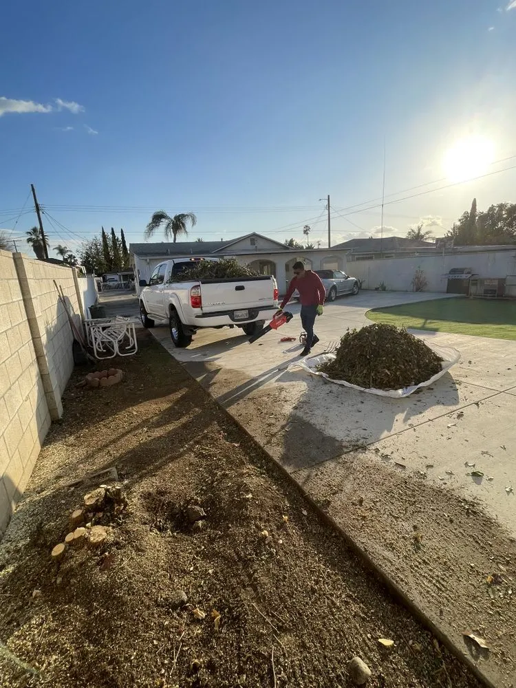 Affordable garden landscaping for year-round maintenance in Pasadena, CA by Salina’s Landscaping