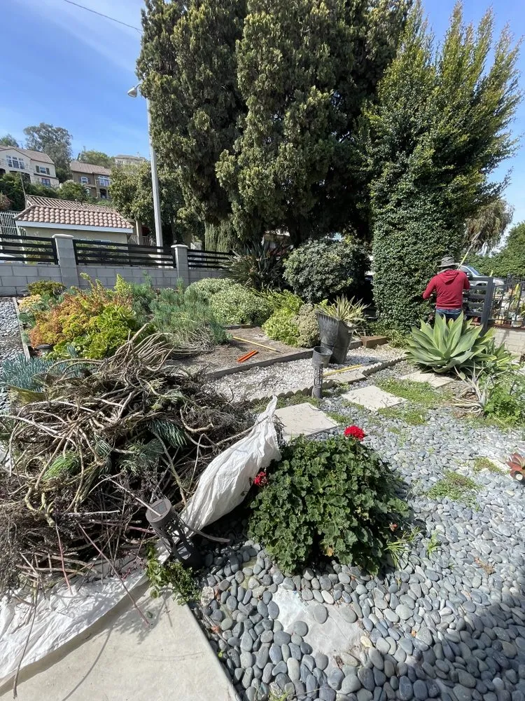Expert landscaping services experts serving Pasadena, CA - Salina’s Landscaping