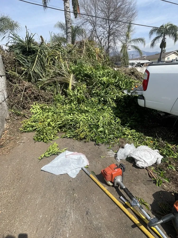 Top-rated lawn care service for year-round maintenance in Pasadena, CA by Salina’s Landscaping