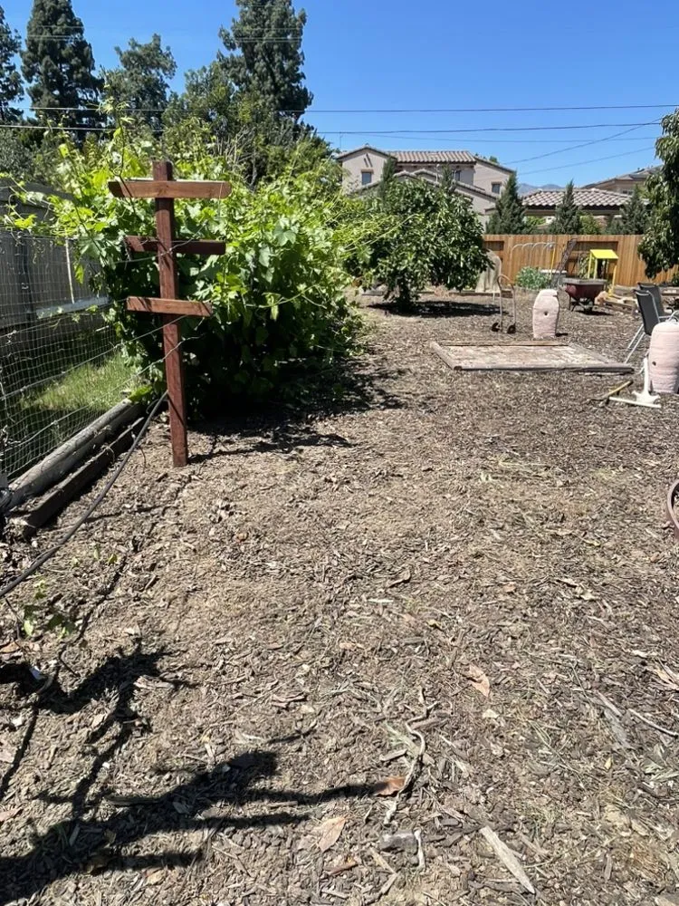 Trusted landscaping services experts serving Pasadena, CA - Salina’s Landscaping