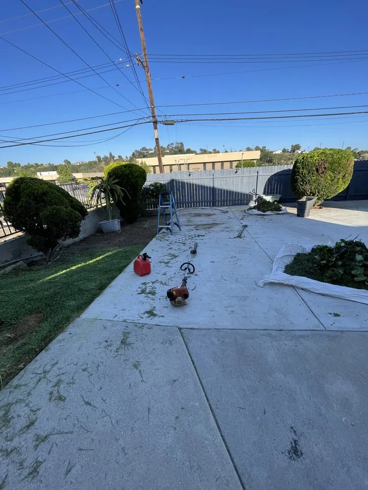 Affordable yard maintenance near you in Pasadena, CA by Salina’s Landscaping