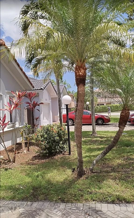 Expert lawn mowing service for year-round maintenance across Princeton, FL - Salinas Landscaping