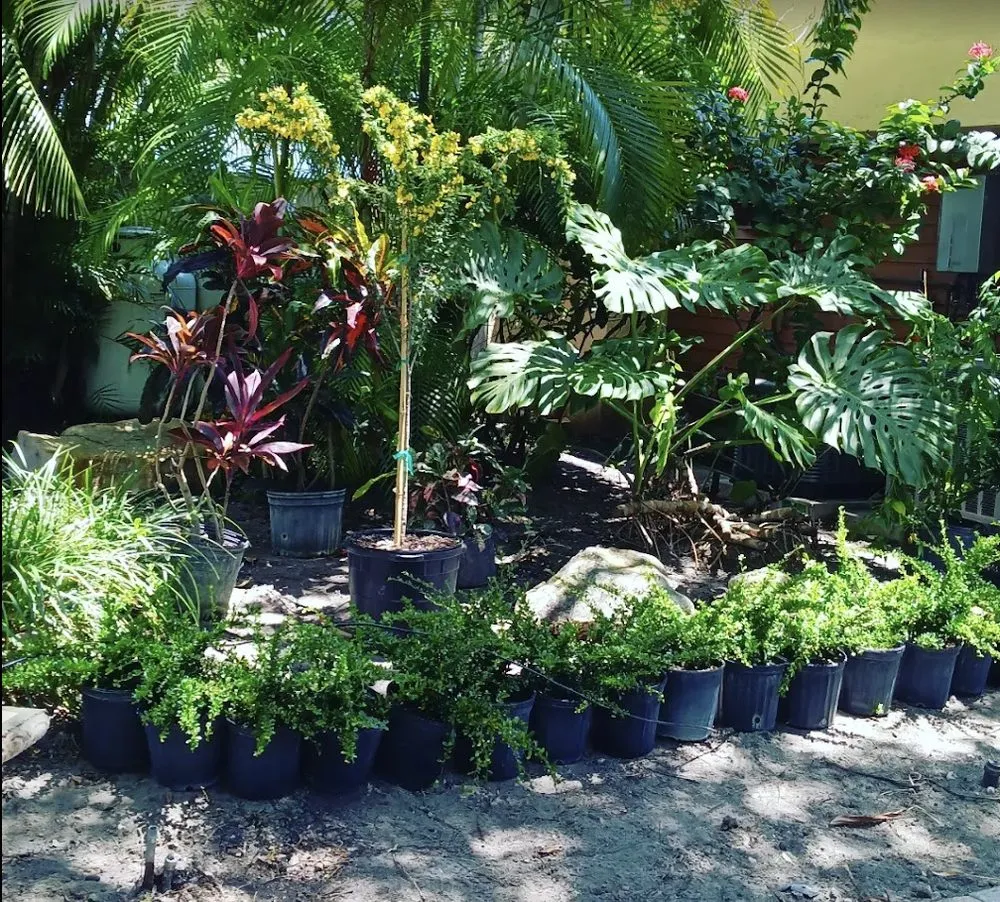 Custom landscape installation in Princeton, FL by Salinas Landscaping