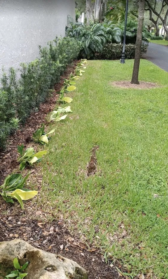 Professional garden landscaping for outdoor upgrades across Princeton, FL - Salinas Landscaping