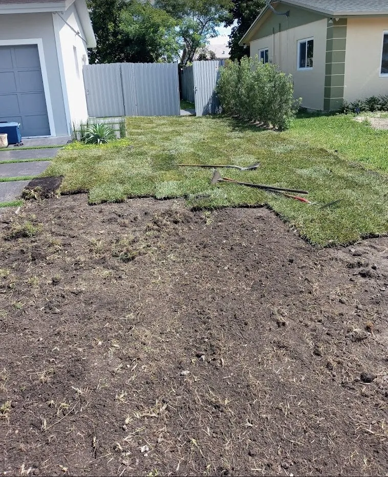 Expert landscaping services in Princeton, FL by Salinas Landscaping