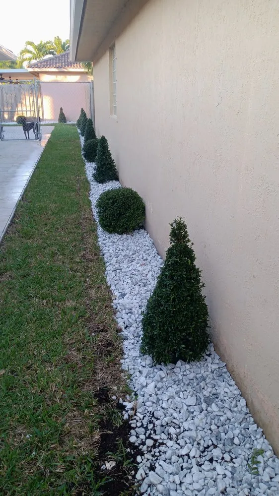 Top-rated landscaping services in Princeton, FL by Salinas Landscaping