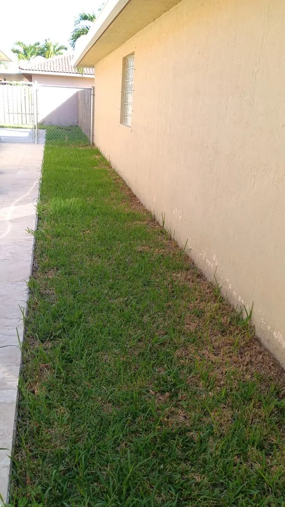 Reliable landscape design for homes in Princeton, FL by Salinas Landscaping