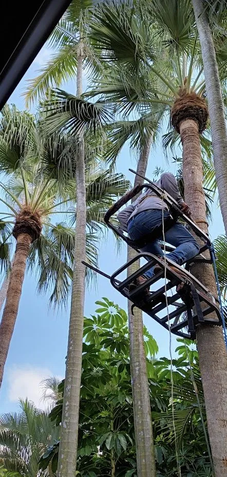 Local lawn care service with custom design across Princeton, FL - Salinas Landscaping