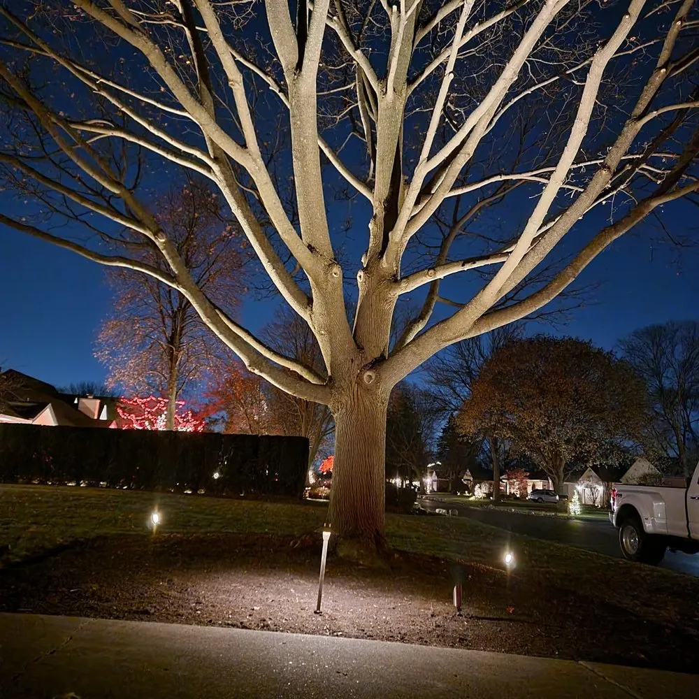 Professional yard maintenance for year-round maintenance across Round Lake, IL - Salinas Landscaping