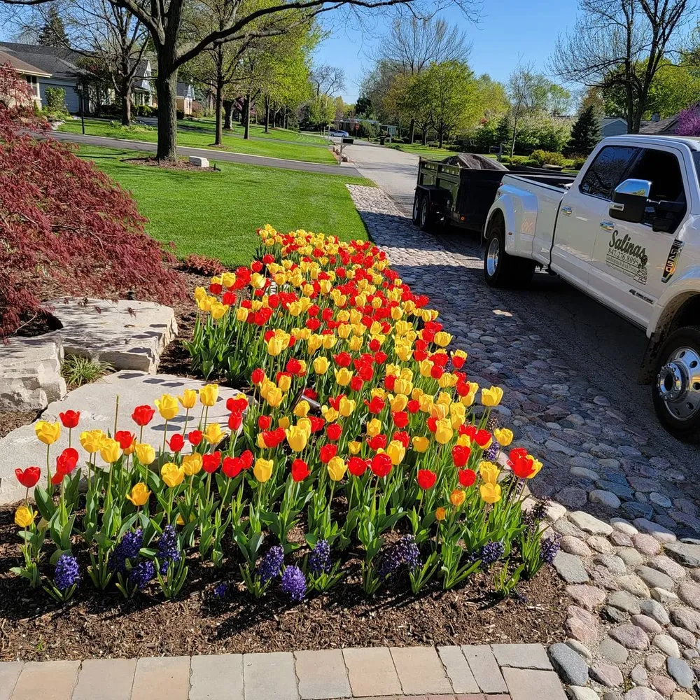 Top-rated outdoor landscaping in Round Lake, IL - Salinas Landscaping