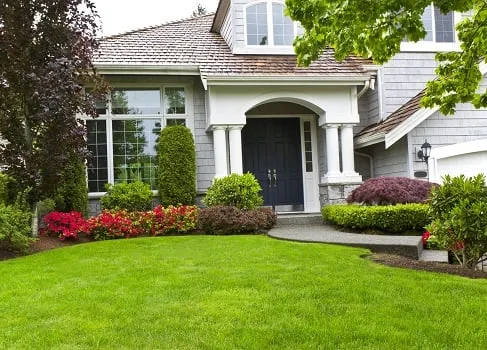 Professional landscaping services in Salinas, CA - Salinas Landscaping Services